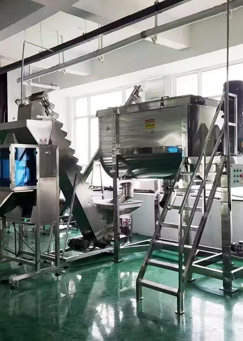 Delivering a Tailored Mixing System to a Southeast Asian Seasoning Leader