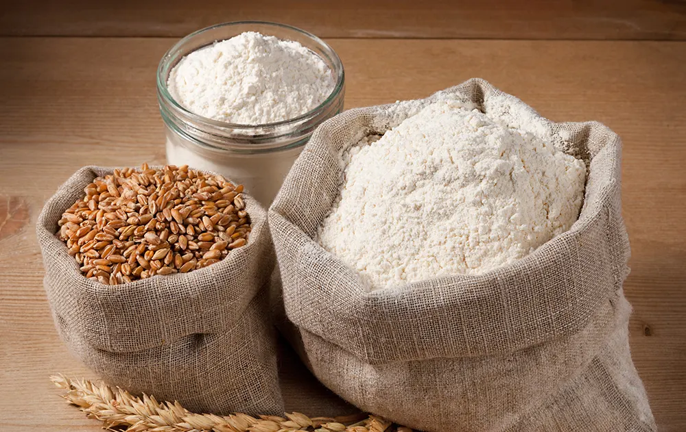 Industrial Mixers for Consistent, Large-Scale Flour Processing（images 1）